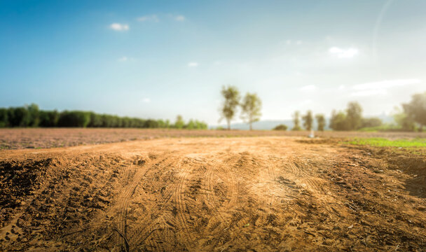 Negotiate & Buy Land